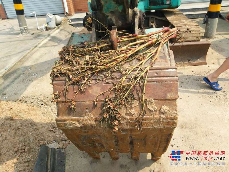 山东出售转让二手9000小时2003年洋马ViO70挖掘机