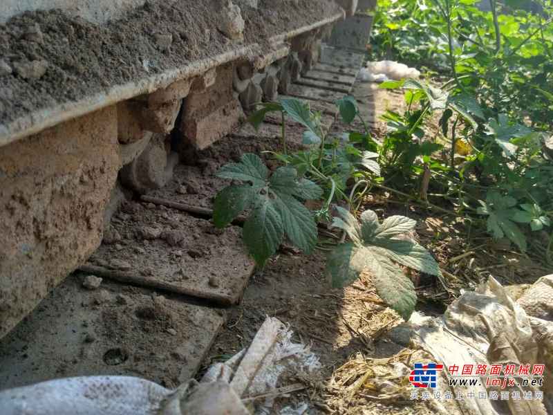 河北出售转让二手9600小时2010年斗山DH60挖掘机