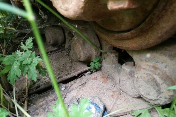 辽宁出售转让二手15000小时2003年小松PC150挖掘机