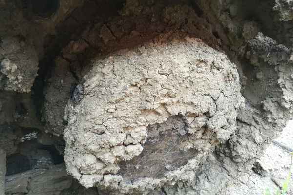 黑龙江出售转让二手8000小时2008年斗山DH220LC挖掘机