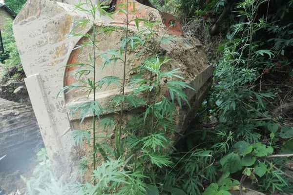 陕西出售转让二手7000小时2010年斗山DH220挖掘机
