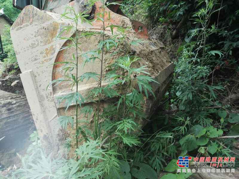陕西出售转让二手7000小时2010年斗山DH220挖掘机