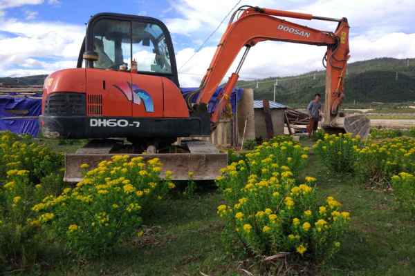 云南出售转让二手8000小时2012年斗山DH60挖掘机