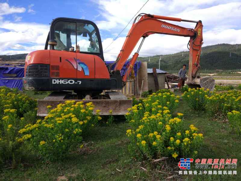 云南出售转让二手8000小时2012年斗山DH60挖掘机