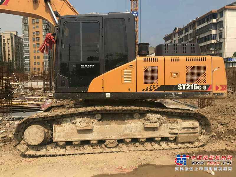 湖南出售转让二手5843小时2015年三一重工SY215C挖掘机