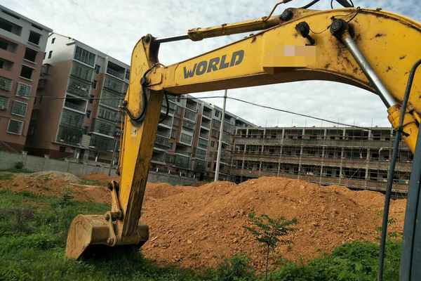 湖南出售转让二手8000小时2010年沃得重工W2239挖掘机