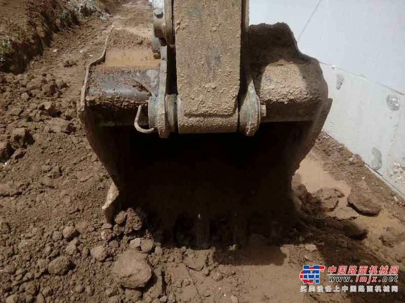 山东出售转让二手4300小时2014年卡特彼勒305挖掘机