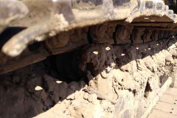 内蒙古出售转让二手8000小时2011年玉柴YC85挖掘机