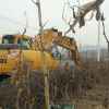 辽宁出售转让二手16000小时2004年现代轮挖R210W挖掘机