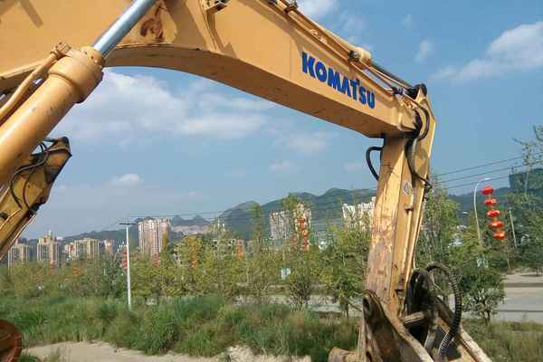 贵州出售转让二手8200小时2010年柳工225C挖掘机