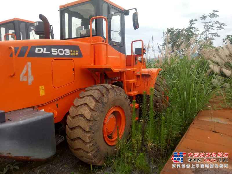 江西出售转让二手200小时2015年斗山DL503装载机