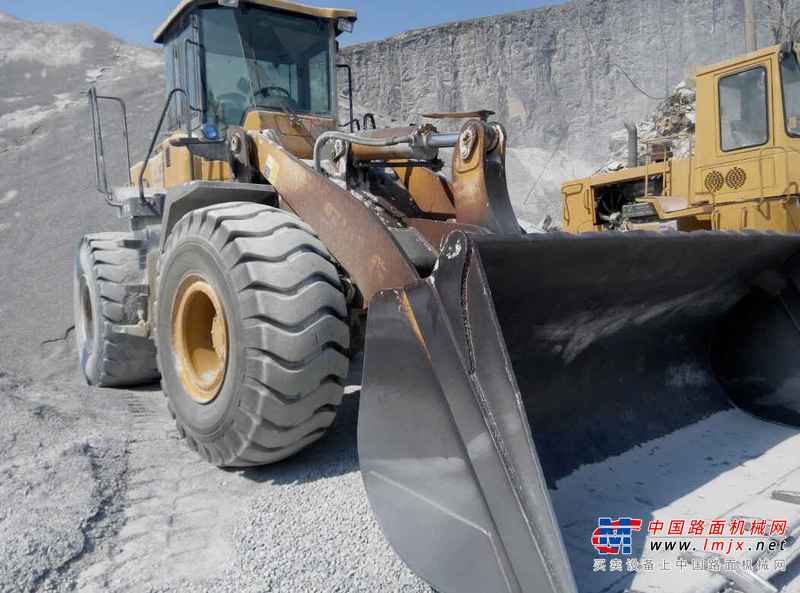 辽宁出售转让二手9800小时2010年临工LG953L装载机
