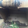 江西出售转让二手2600小时2012年徐工XE265C挖掘机