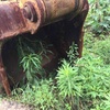 江西出售转让二手4800小时2011年徐工XE215C挖掘机