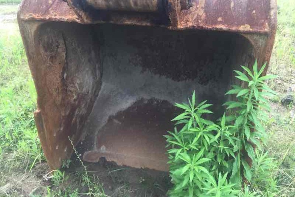 江西出售转让二手3200小时2010年徐工XE215C挖掘机