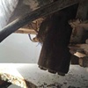 陕西出售转让二手1小时2003年龙工ZL30FG装载机