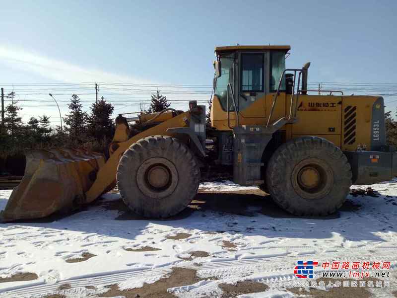 辽宁出售转让二手8936小时2010年临工LG953L装载机