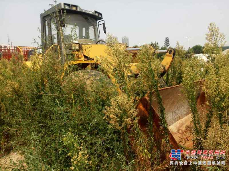 陕西出售转让二手5000小时2007年厦工XG953装载机