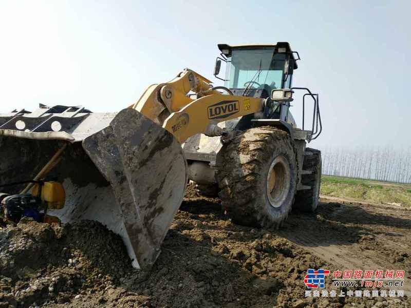 湖北出售转让二手8000小时2010年福田雷沃FL955F装载机