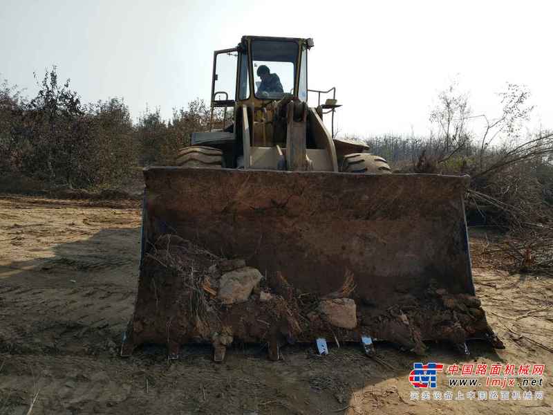 山西出售转让二手8000小时2003年柳工ZL50C装载机