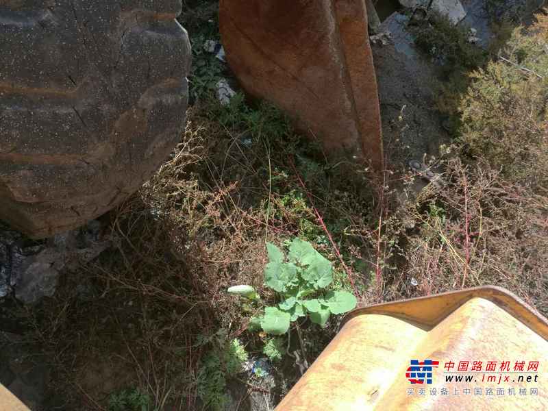 山西出售转让二手12000小时2005年龙工850装载机