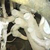 山西出售转让二手7000小时2006年山工ZL50D装载机