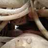 江西出售转让二手9476小时2009年龙工LG853装载机