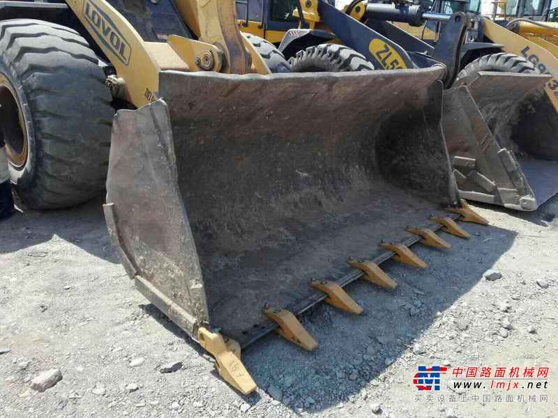 内蒙古出售转让二手6500小时2009年福田雷沃FL955F装载机