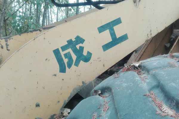 陕西出售转让二手8500小时2005年成工ZL50E装载机
