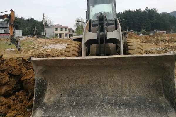 湖北出售转让二手7000小时2011年福田雷沃FL935E装载机