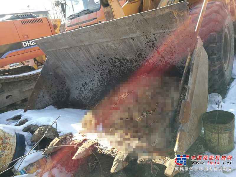 内蒙古出售转让二手6000小时2012年柳工ZL50C装载机