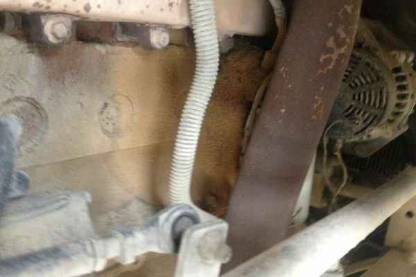 山西出售转让二手2007年东风EQ3259GE自卸车