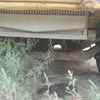 山西出售转让二手2010年红岩CQ3254SMG384自卸车