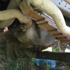 山西出售转让二手2010年红岩CQ3253TMG324自卸车