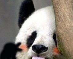 杭州市出售转让二手柴油发电机