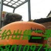 安阳市出售转让二手电动叉车