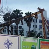 深圳市出售转让二手桩工机械