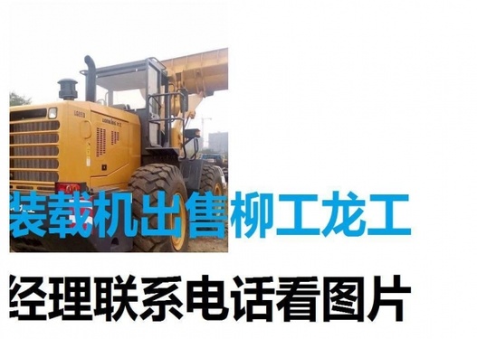 安阳市出售转让二手龙工装载机