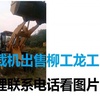 杭州市出售转让二手柳工装载机