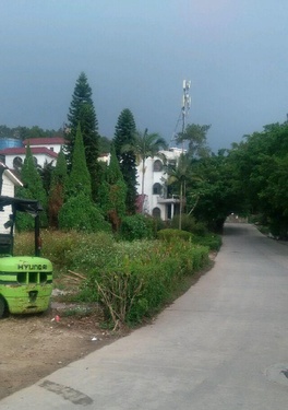 广州市出售转让二手现代电动叉车