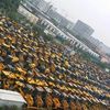 上海出售转让二手徐工压路机