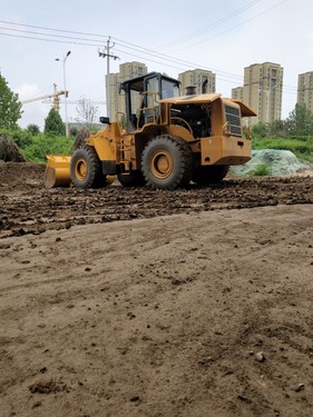 长春市出售转让二手柳工装载机