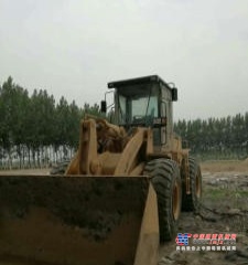 长春市出售转让二手柳工装载机