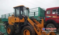 保定市出售转让二手柳工装载机
