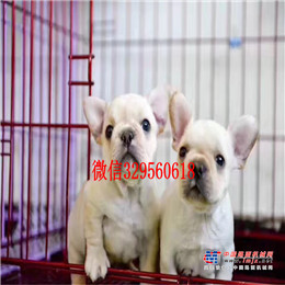 大理出售转让二手装载机