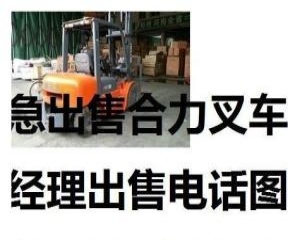 长春市出售转让二手合力电动叉车
