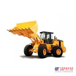沧州市出售转让二手柳工装载机