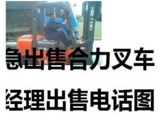 德州市出售转让二手合力电动叉车