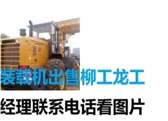 沧州市出售转让二手柳工装载机