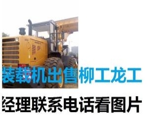 德州市出售转让二手柳工装载机